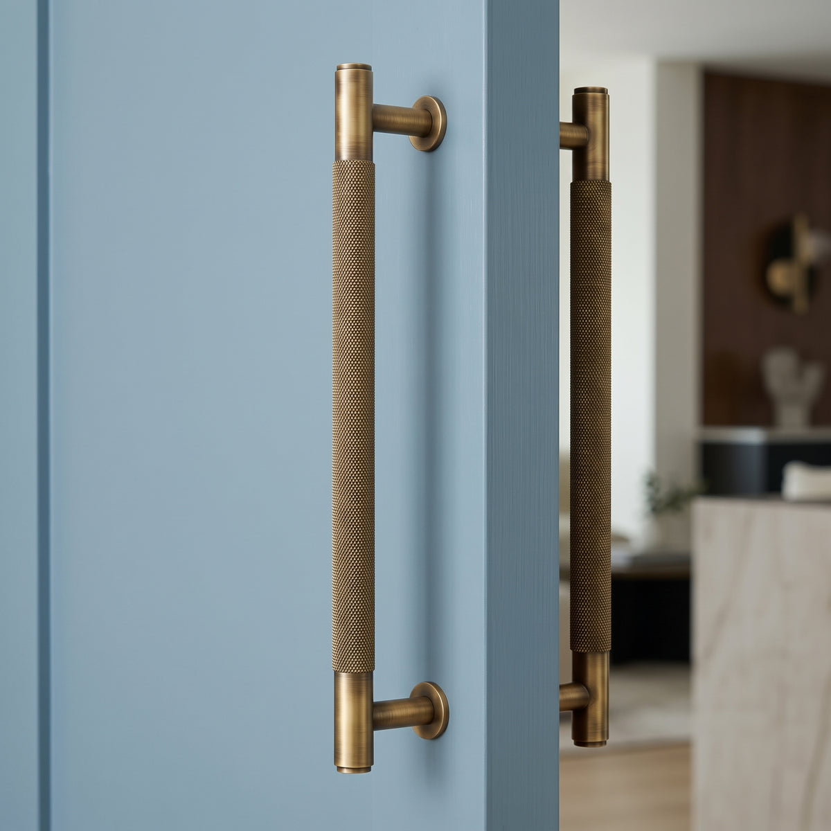 Livo Door Pull