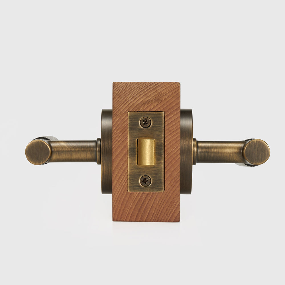 Arlo Brass Door Handle