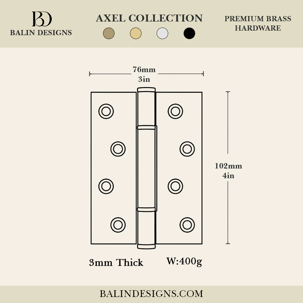 Axel Brass Door Hinge