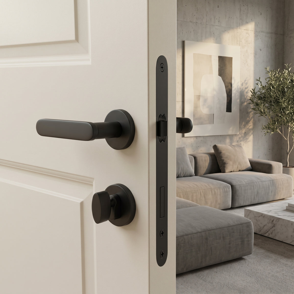 Nash Brass Door Handle