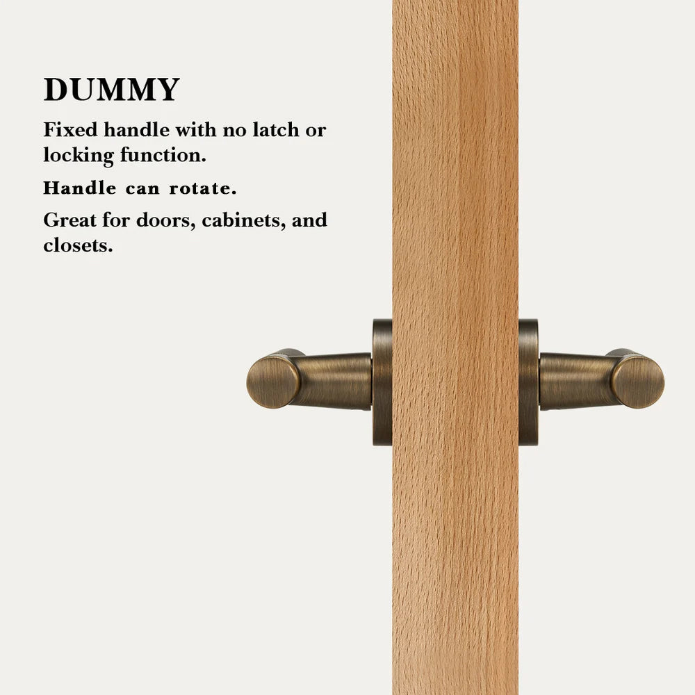 Finn Brass Door Handle