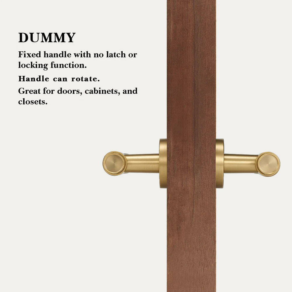 Hugo Brass Door Handle