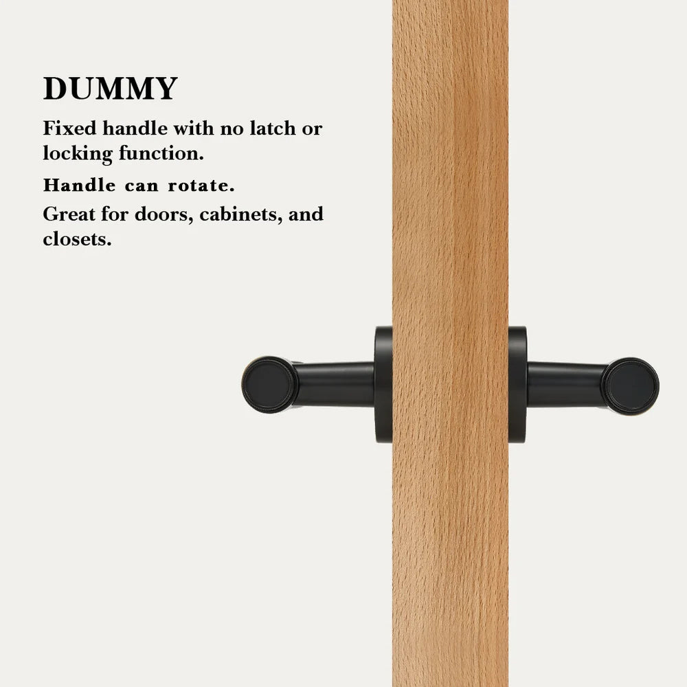 Hugo Brass Door Handle