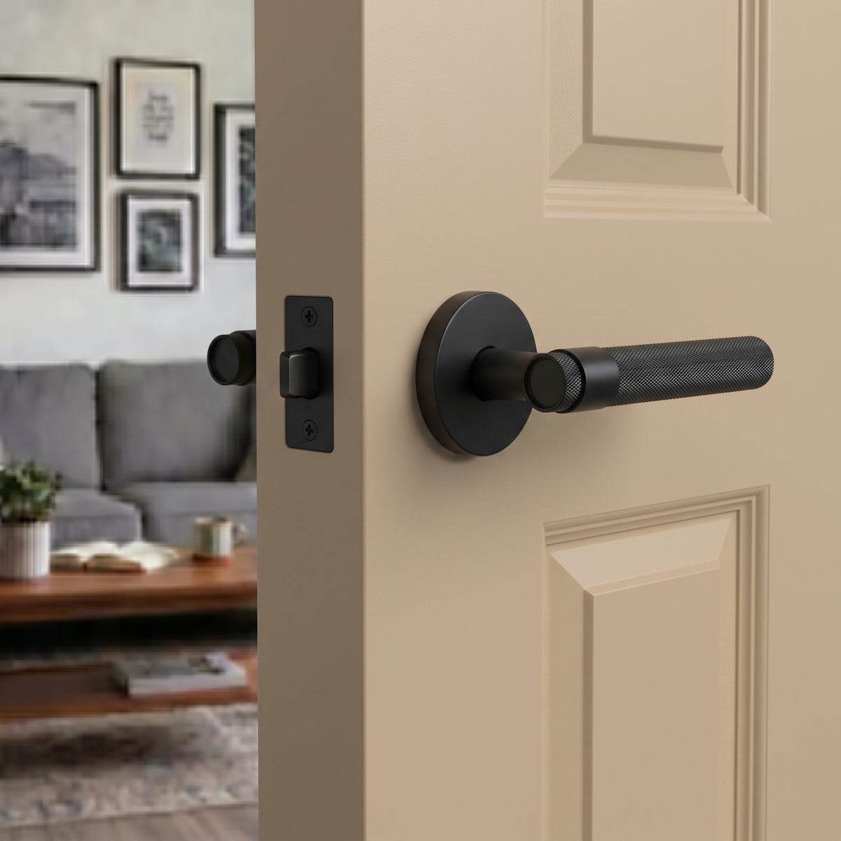 Hugo Brass Door Handle
