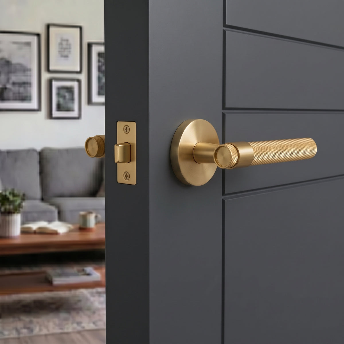 Hugo Brass Door Handle