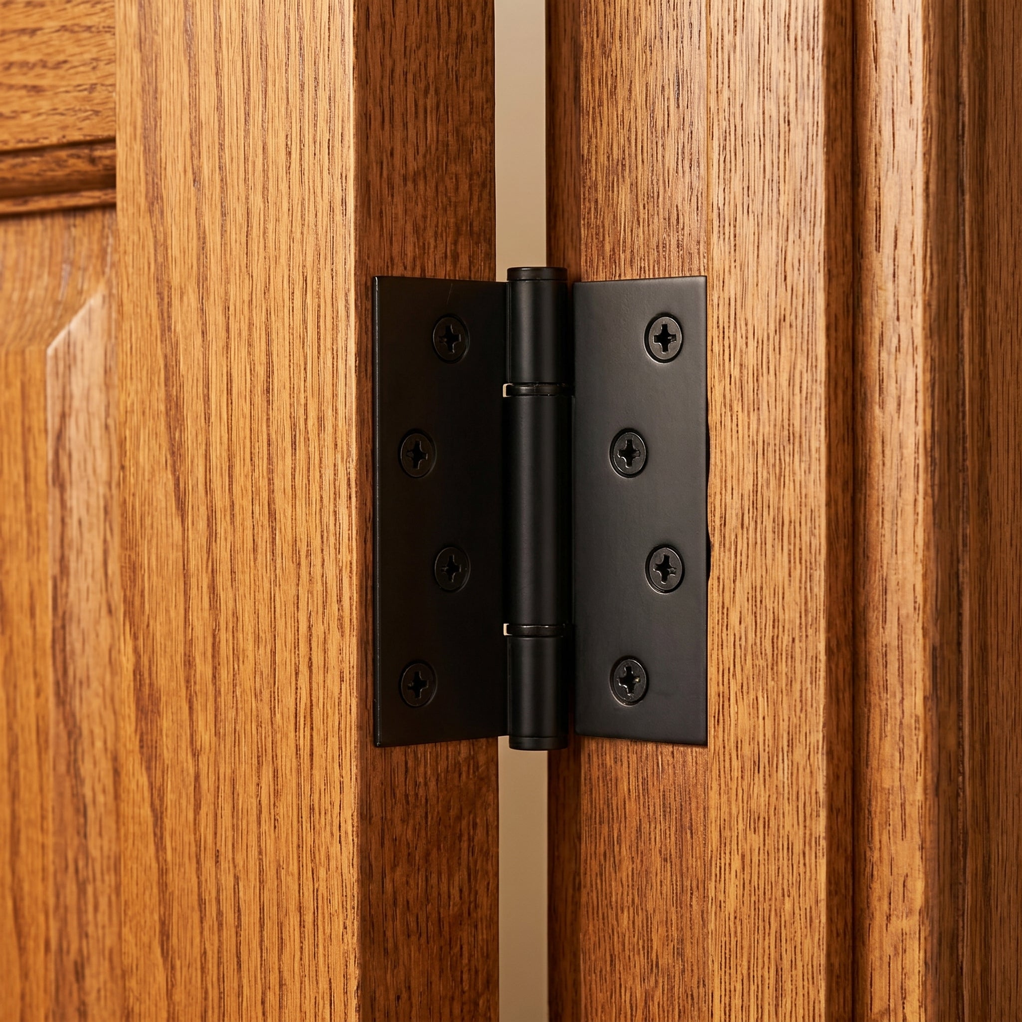 Axel Brass Door Hinge