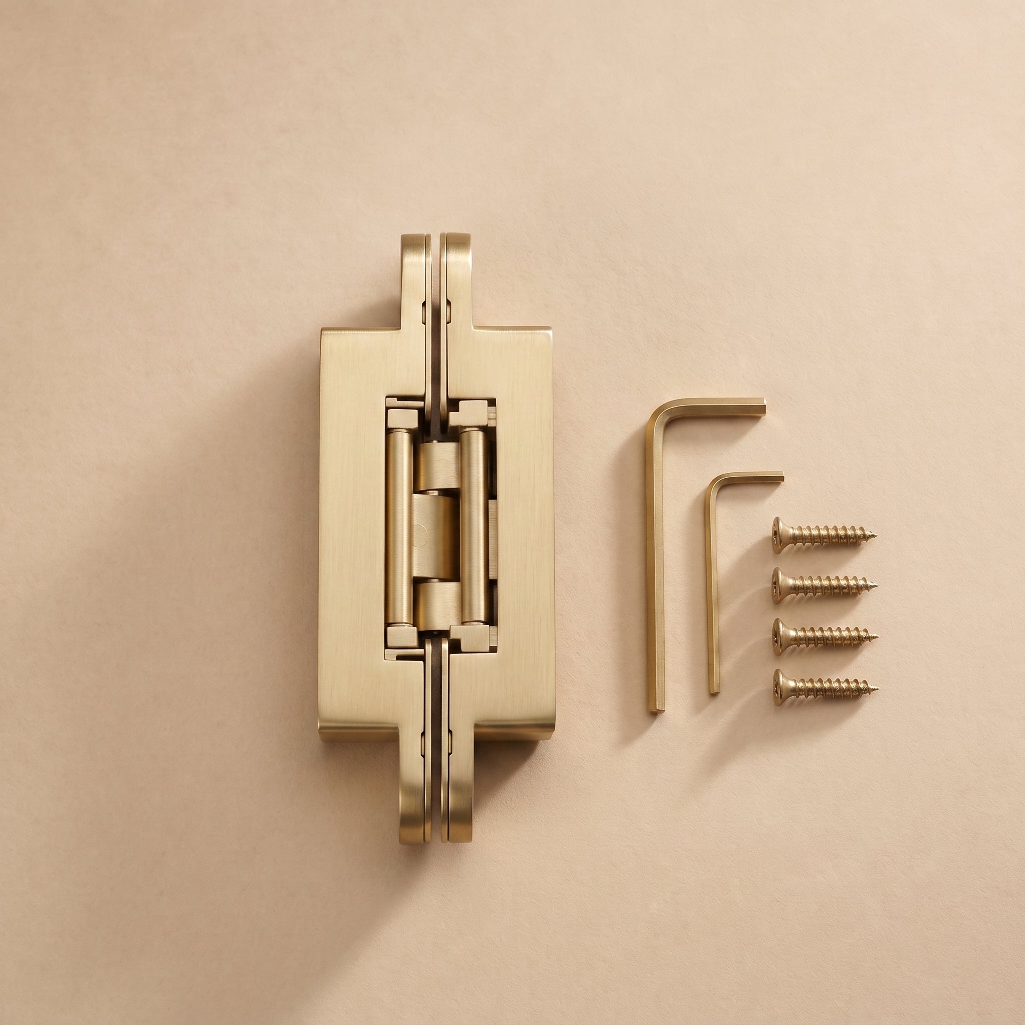 Hush Door Hinge