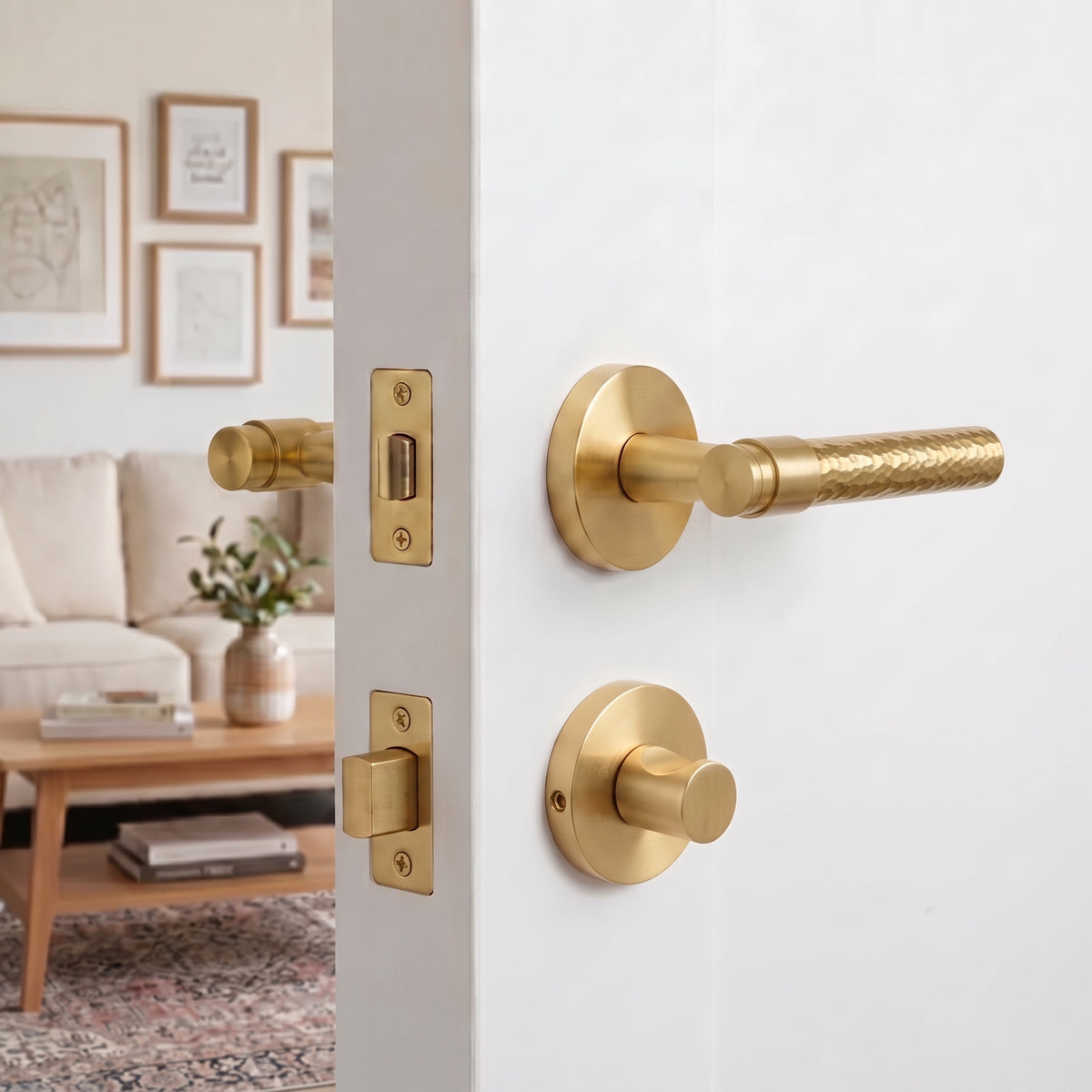 Zivo Brass Door Handle