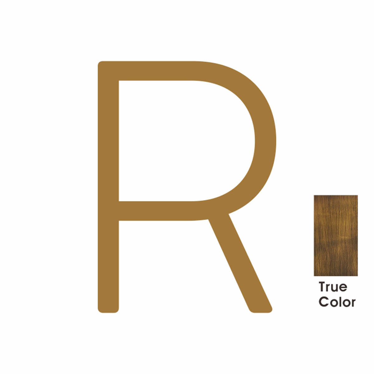 #letter_r_style_plain