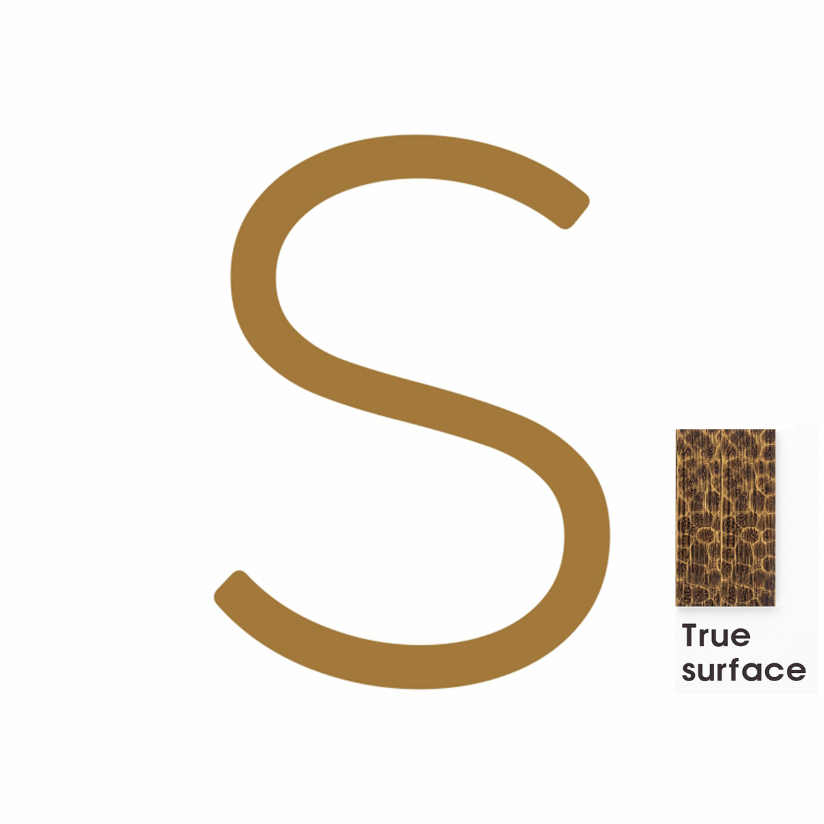 #letter_s_style_hammered