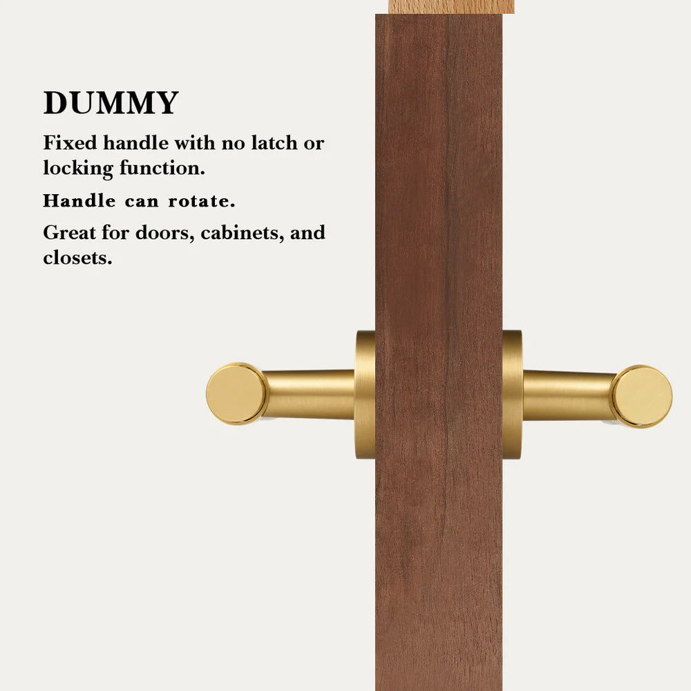Zivo Brass Door Handle