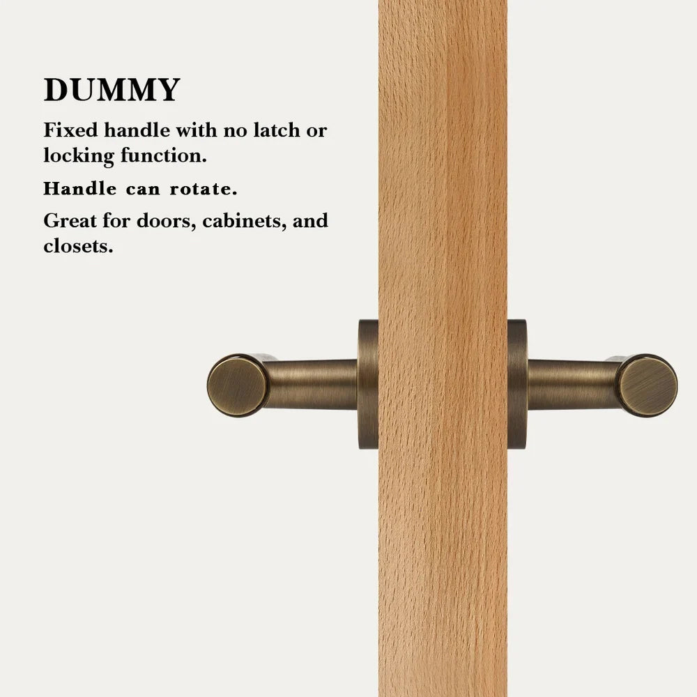 Zivo Brass Door Handle