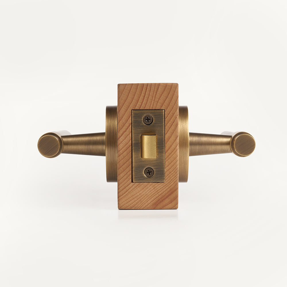 Milo Brass Door Handle