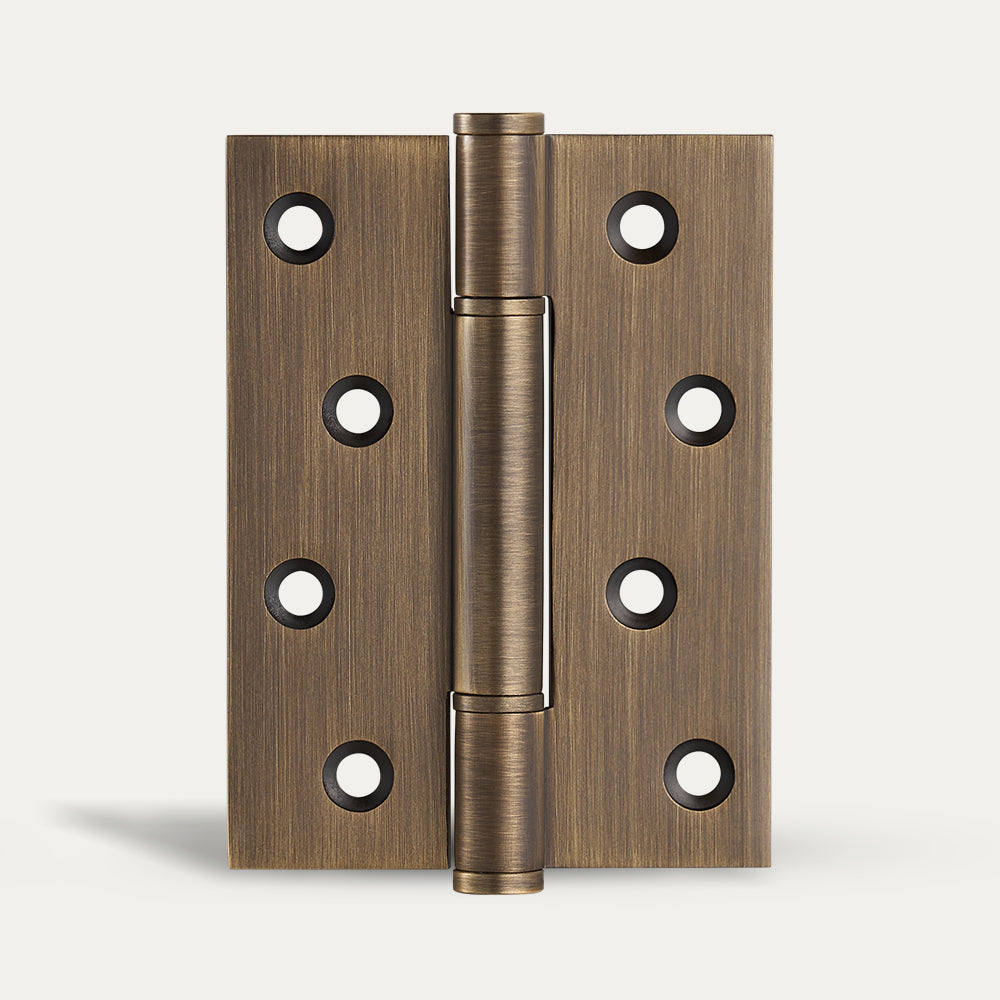 Axel Brass Door Hinge