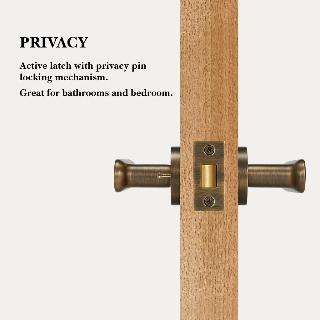 Nash Brass Door Handle