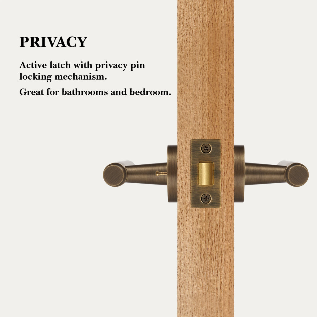 Milo Brass Door Handle