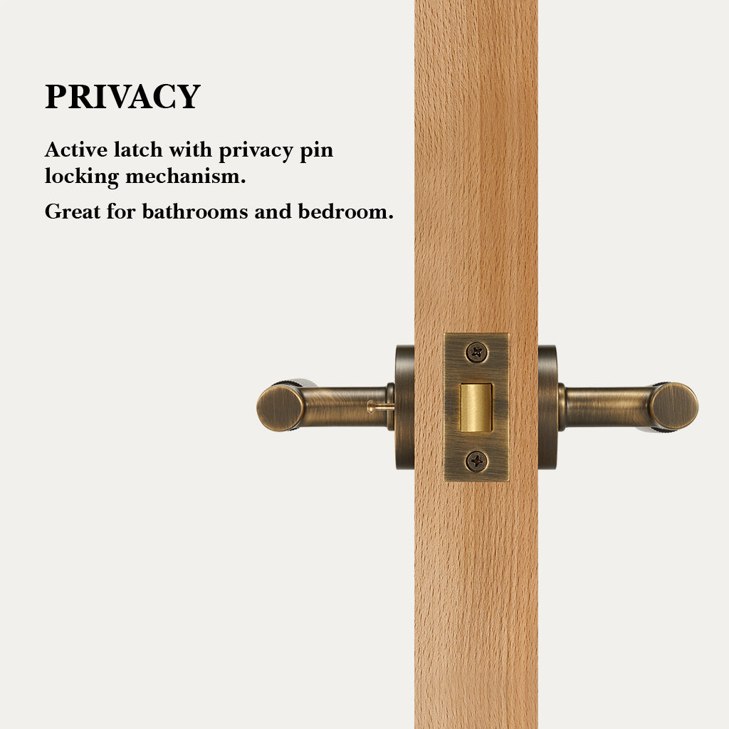 Arlo Brass Door Handle