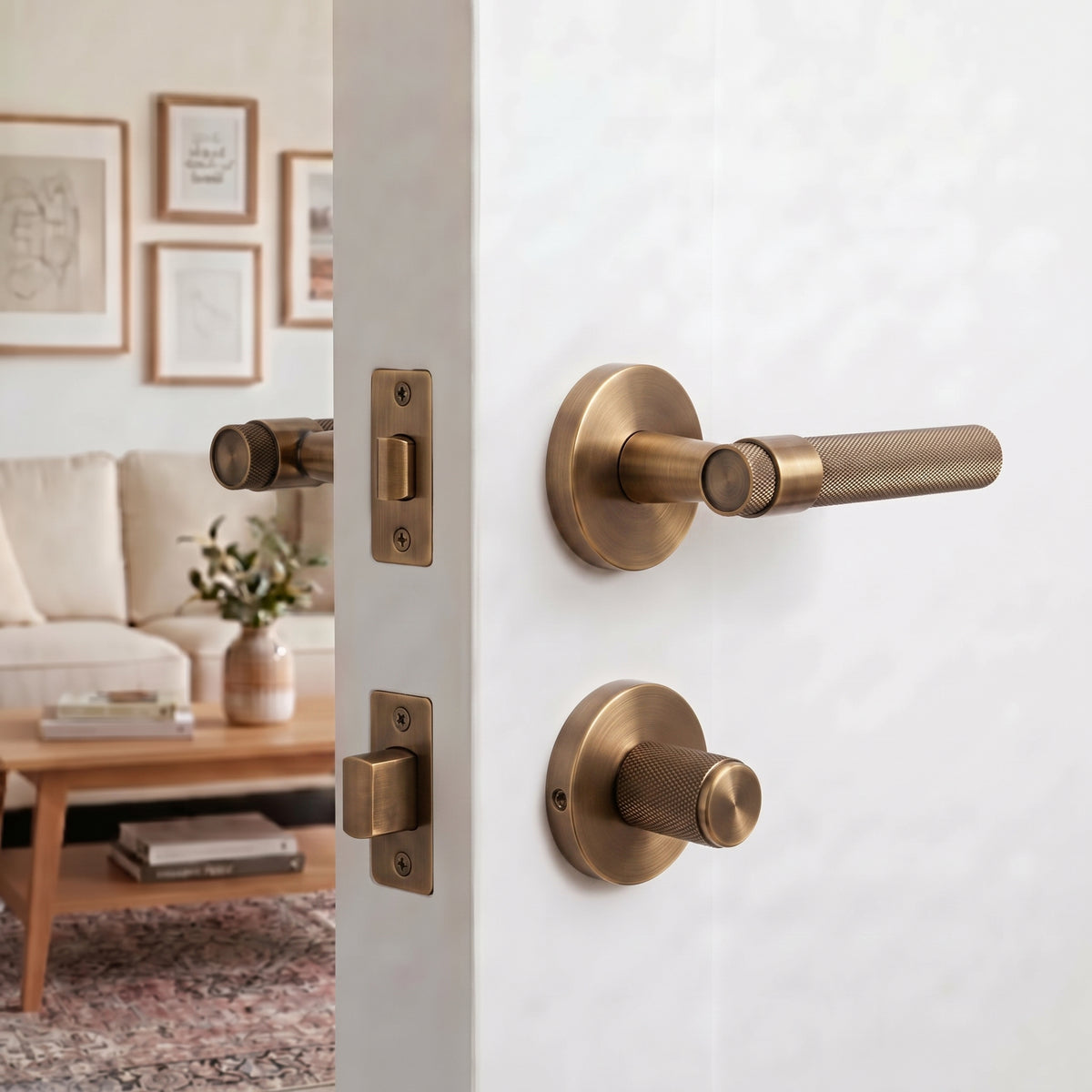 Hugo Brass Door Handle