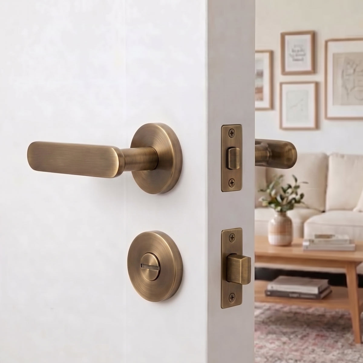 #door knob function_thumbturn-privacy-set