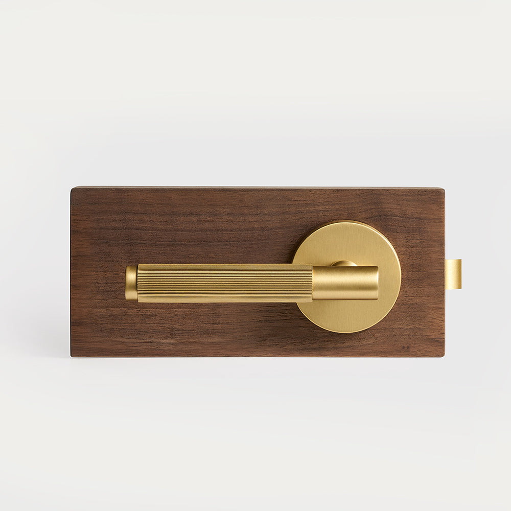 Arlo Brass Door Handle