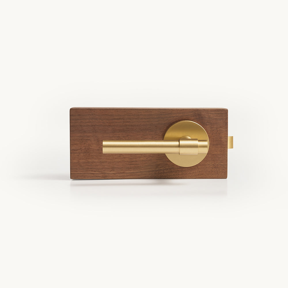 Milo Brass Door Handle