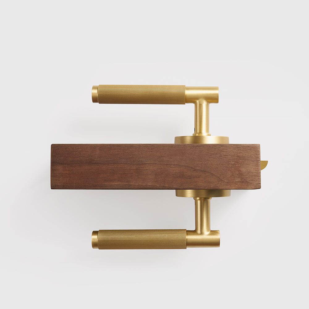 Arlo Brass Door Handle