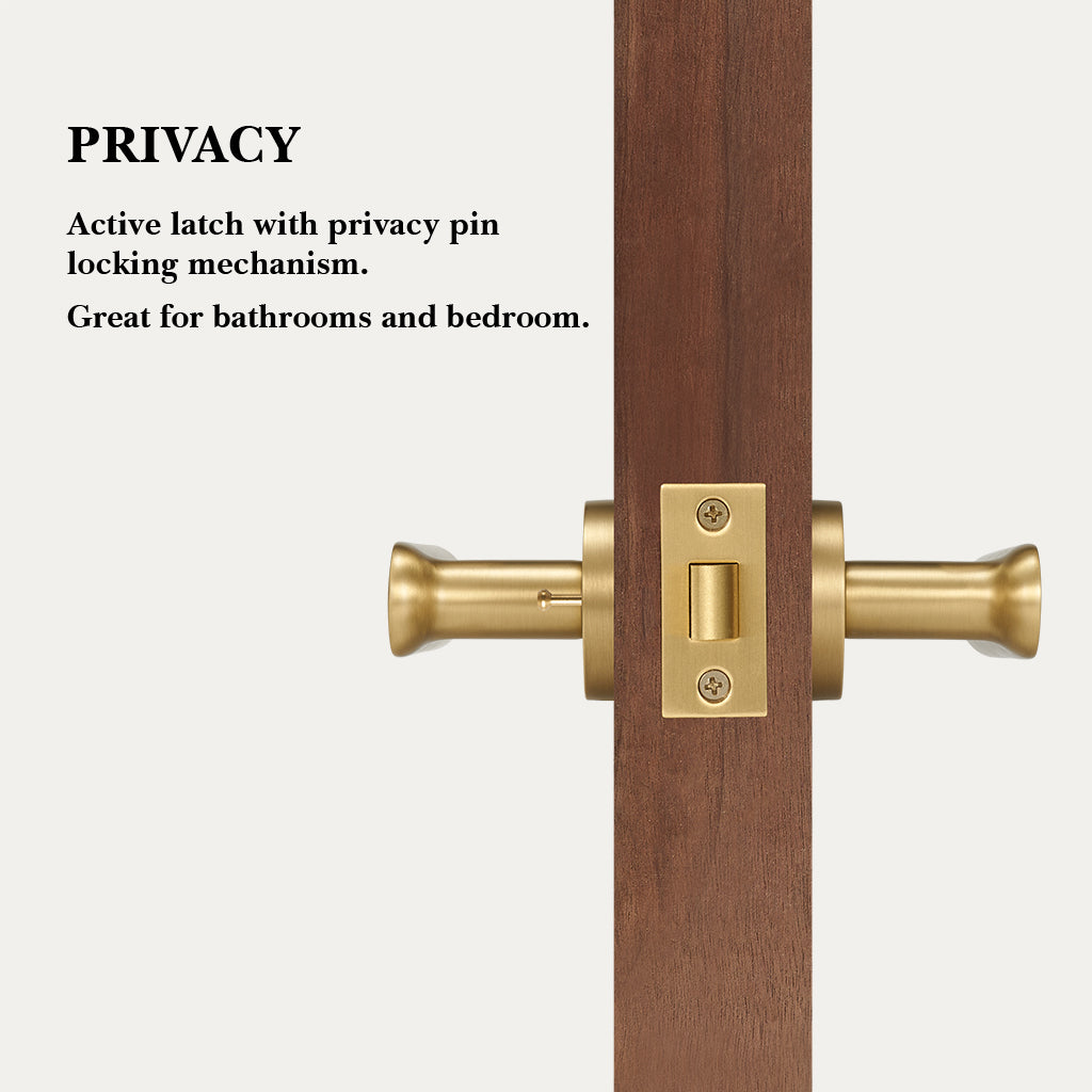 Nash Brass Door Handle
