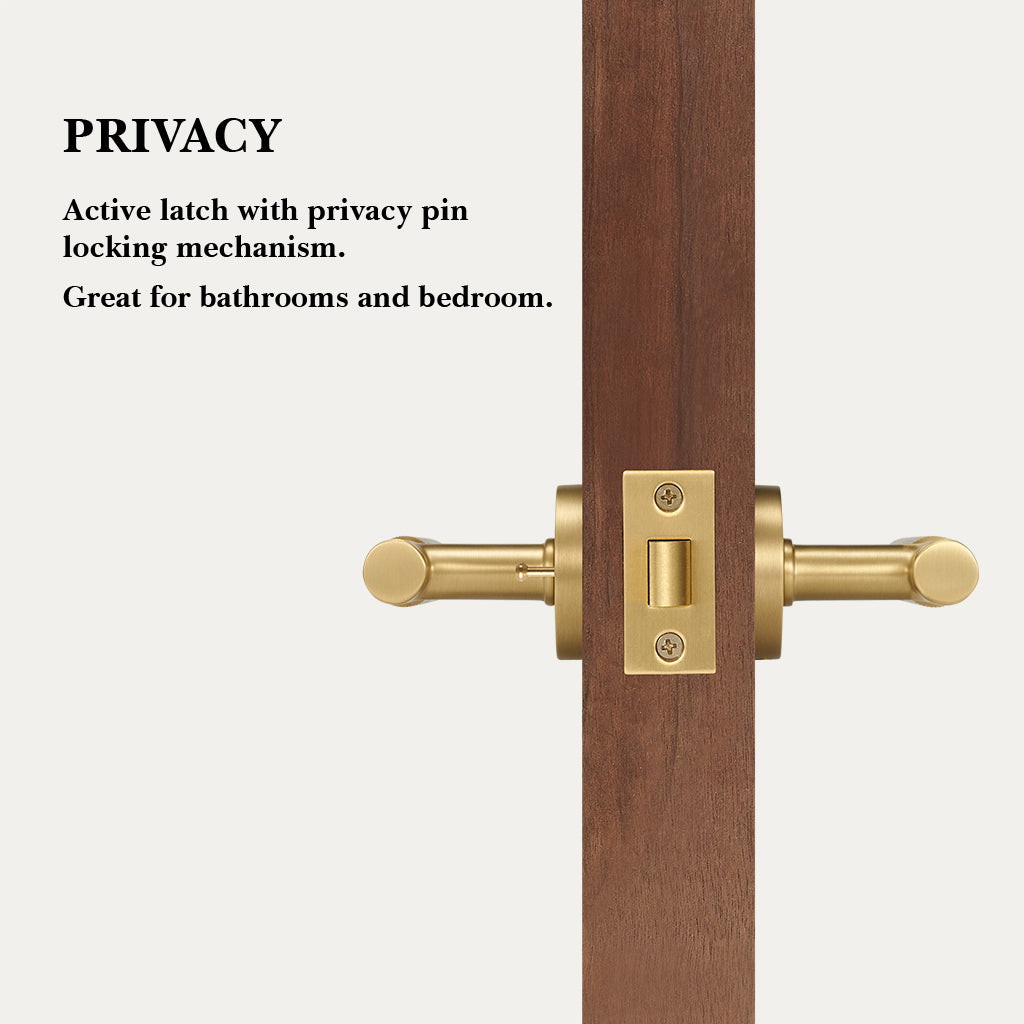 Arlo Brass Door Handle