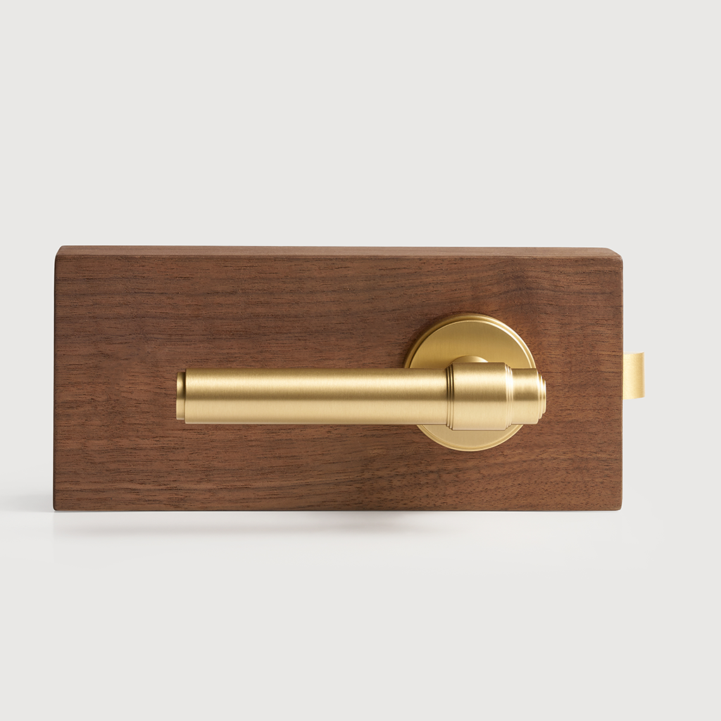 Luca Brass Door Handle