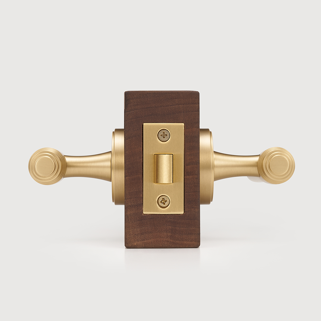 Luca Brass Door Handle