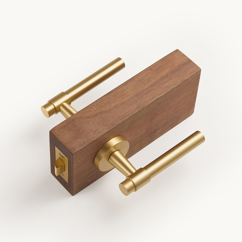 Milo Brass Door Handle