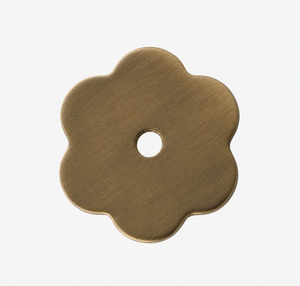 Cloud Backplate
