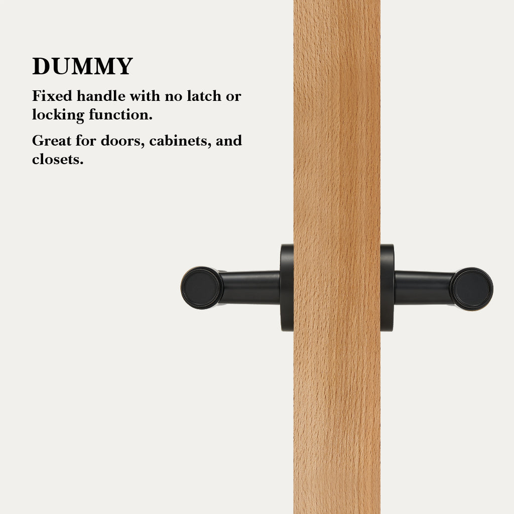 Hugo Brass Door Handle