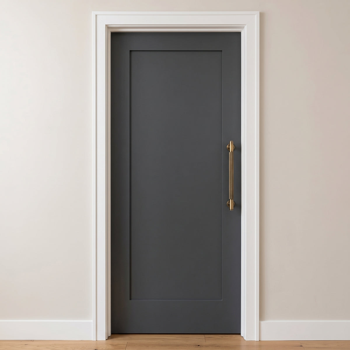 Livo Door Pull