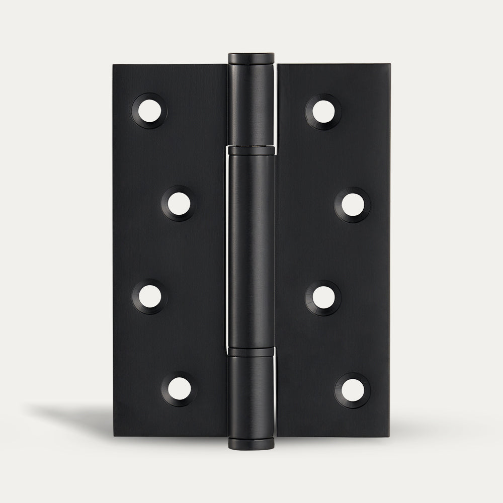 Axel Brass Door Hinge