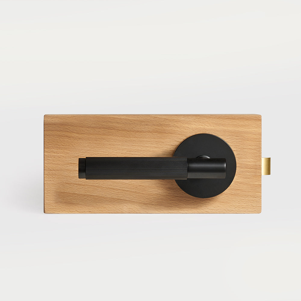 Arlo Brass Door Handle