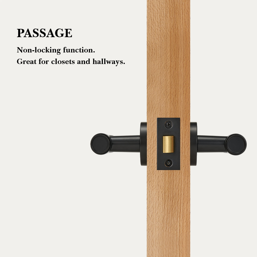 Hugo Brass Door Handle