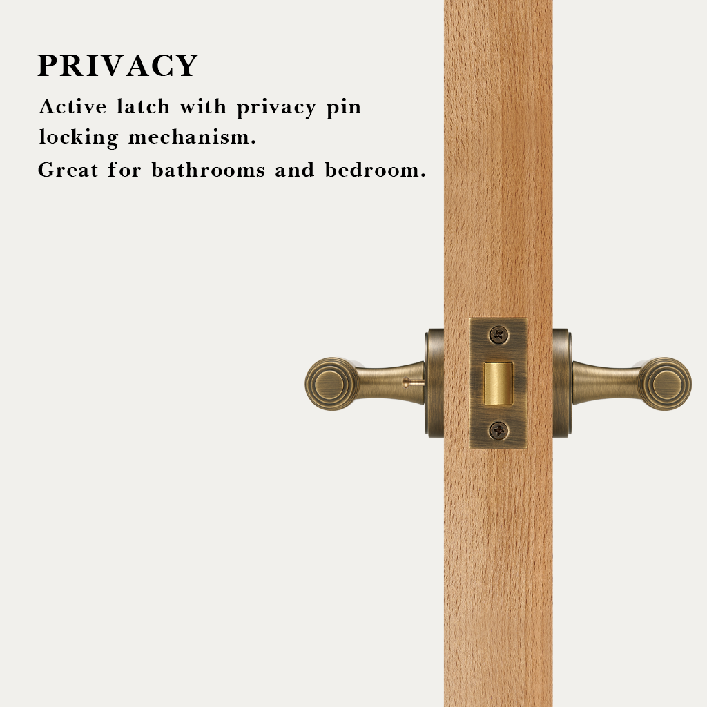Luca Brass Door Handle