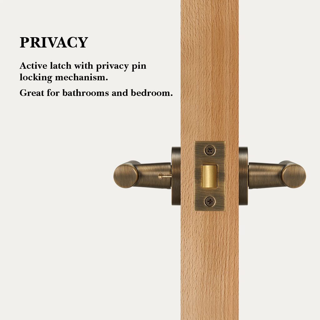 Finn Brass Door Handle
