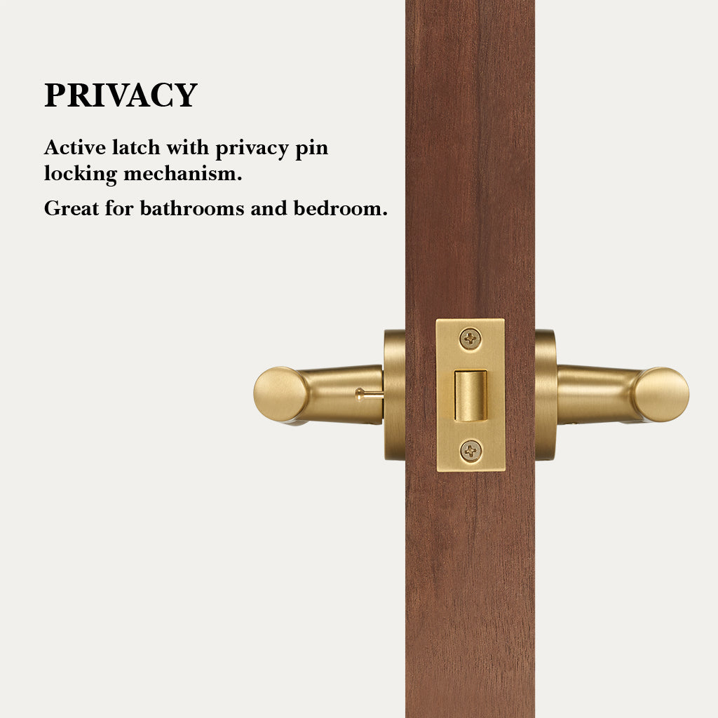 Finn Brass Door Handle