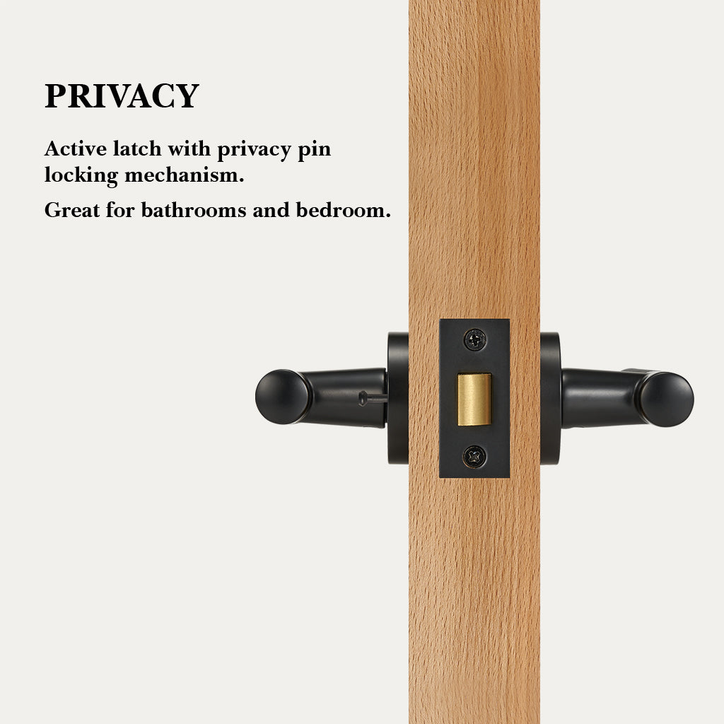 Finn Brass Door Handle