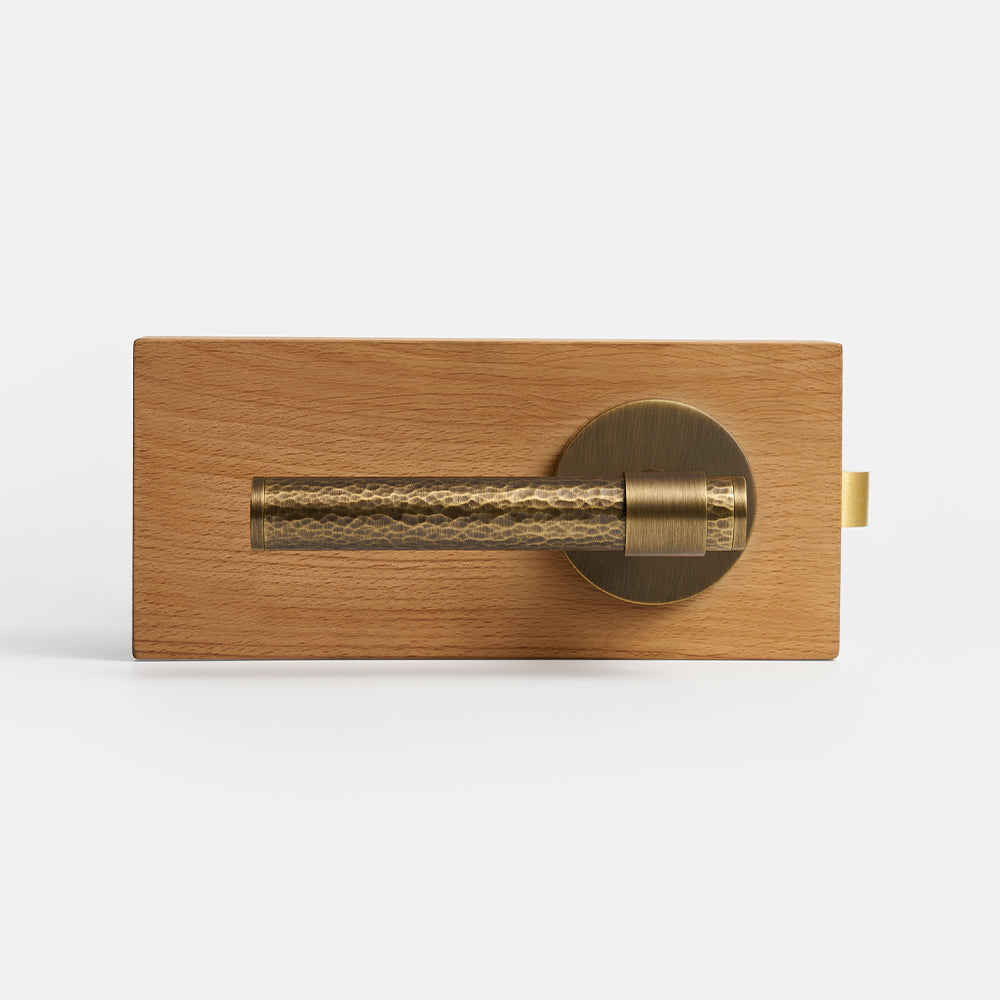 Zivo Brass Door Handle