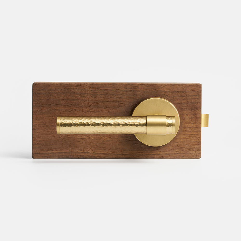 Zivo Brass Door Handle